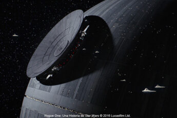 Resized Image