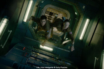 Resized Image